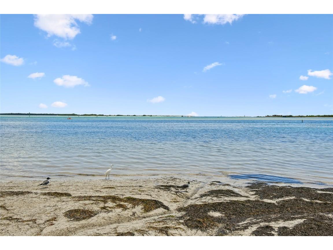 623 Palm Boulevard Dunedin FL 34698 TB8433349 image40