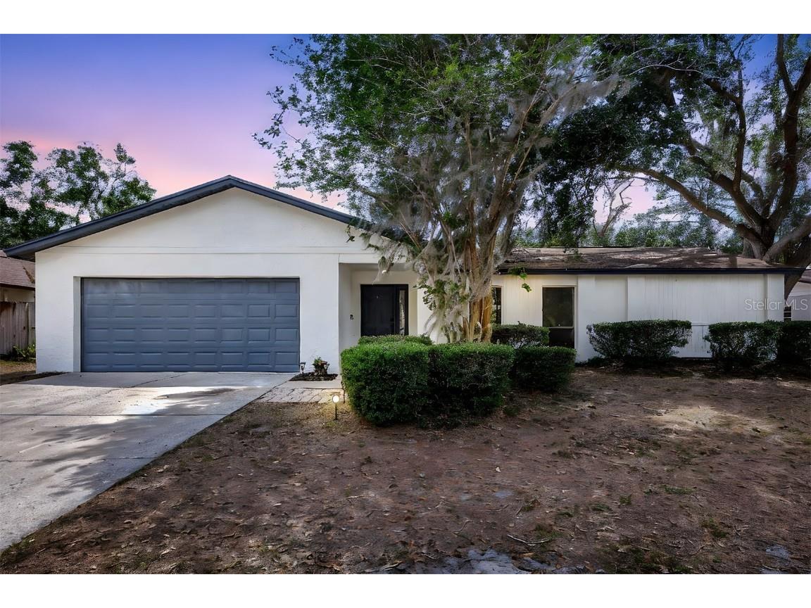 623 Sandy Creek Drive Brandon FL 33511 O6306866 image1