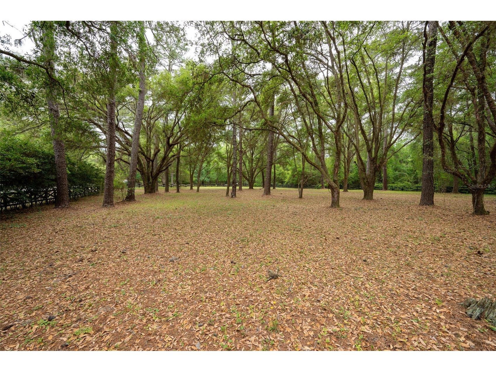 623 SW 93rd Street Gainesville FL 32607 GC538310 image93