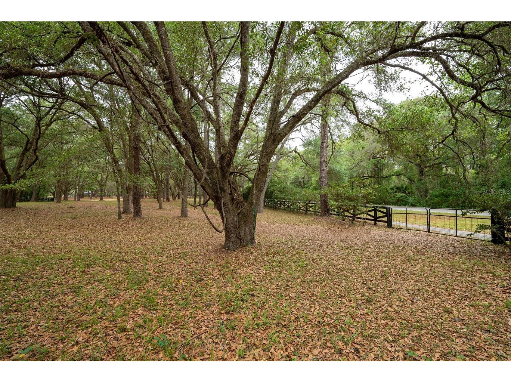 623 SW 93rd Street Gainesville FL 32607 GC538310 image94