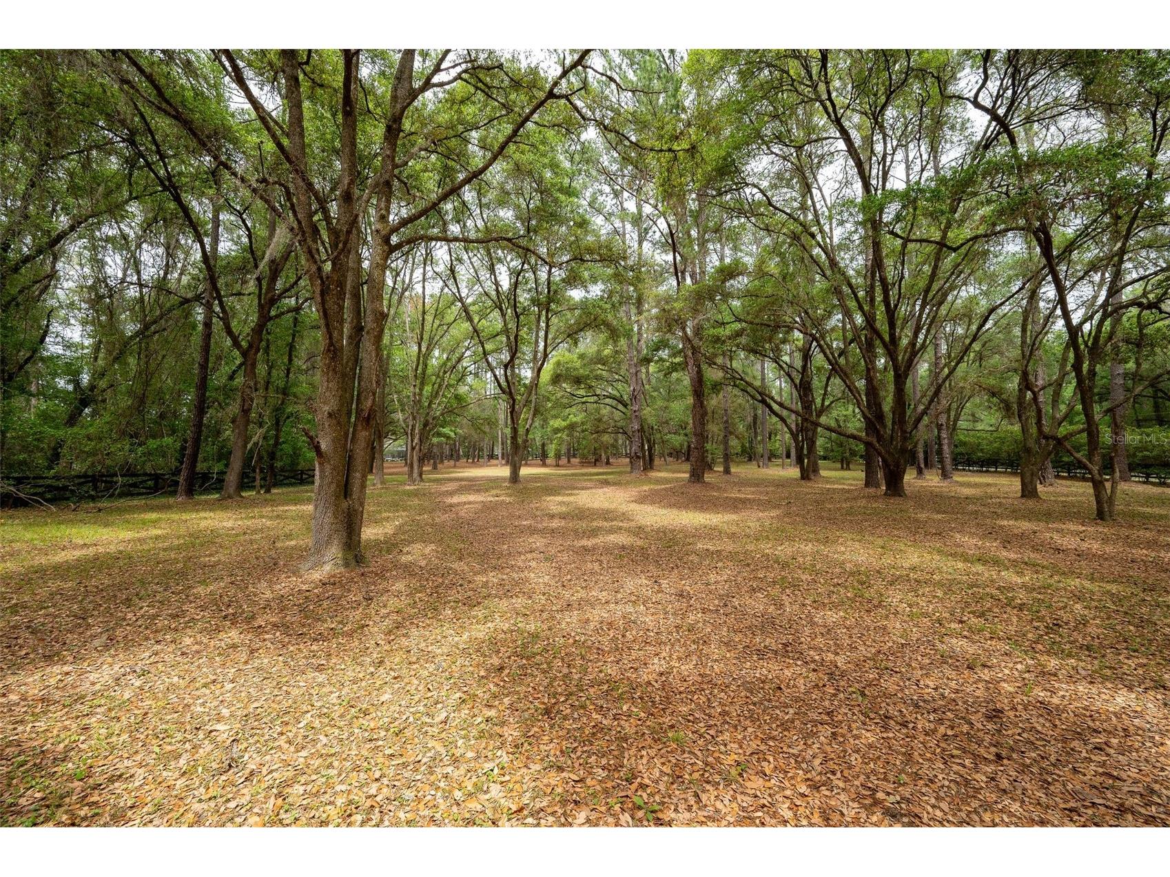 623 SW 93rd Street Gainesville FL 32607 GC538310 image95