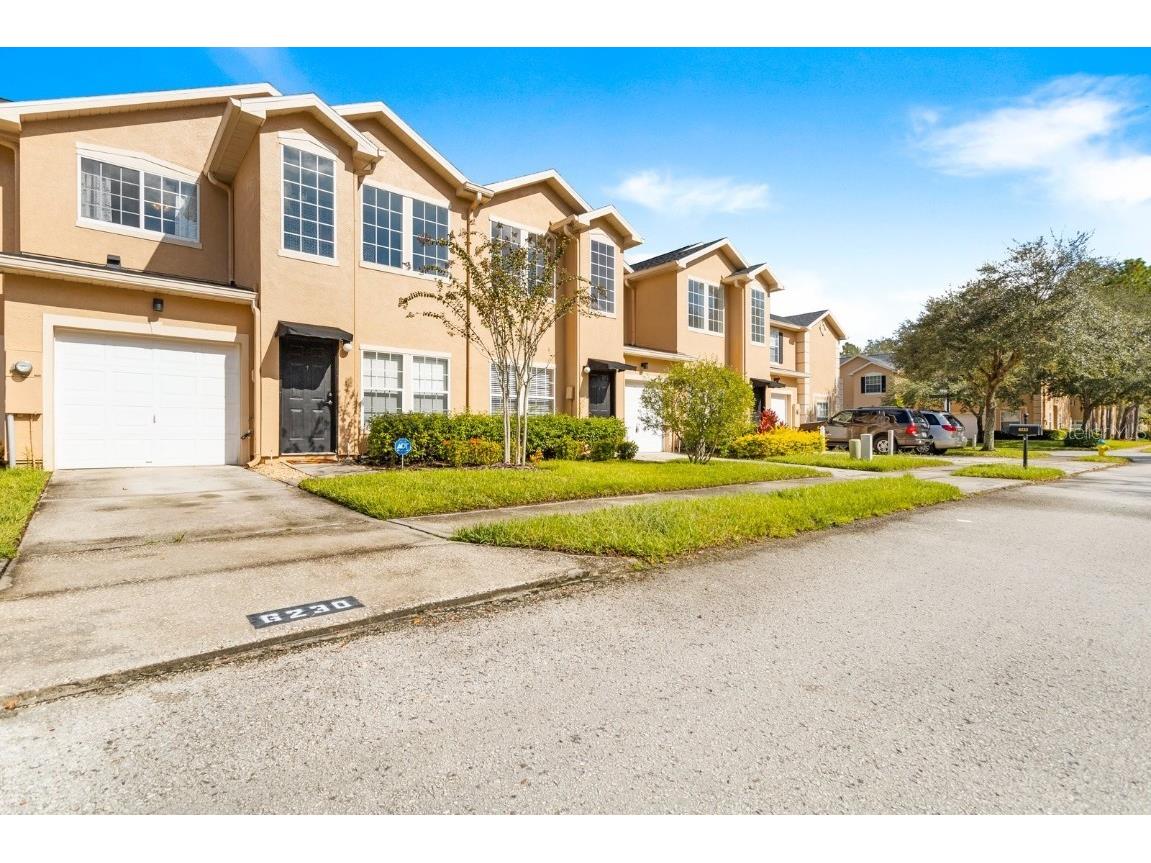 6230 Ashbury Palms Drive Tampa FL 33647 L4927858 image1