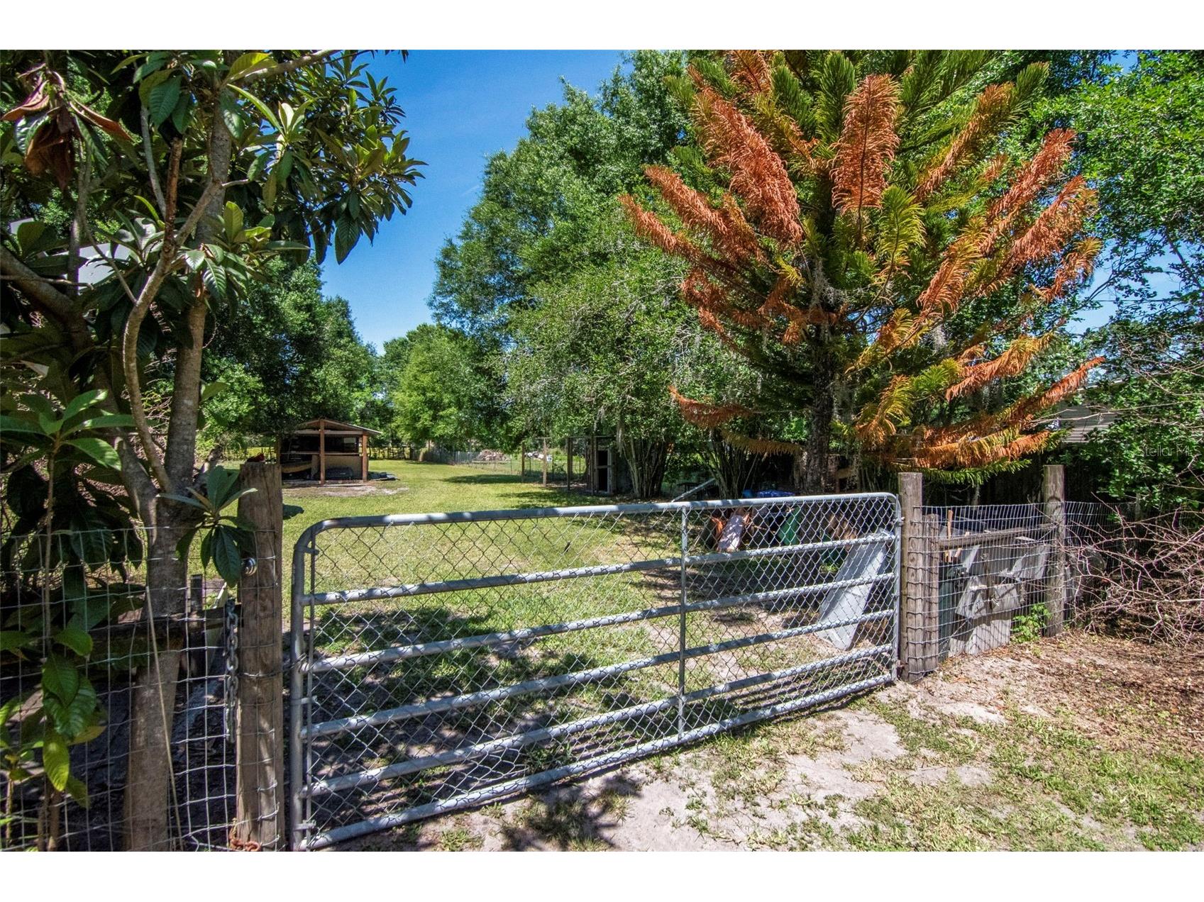 6230 Bob Head Road Plant City FL 33565 TB8497017 image8