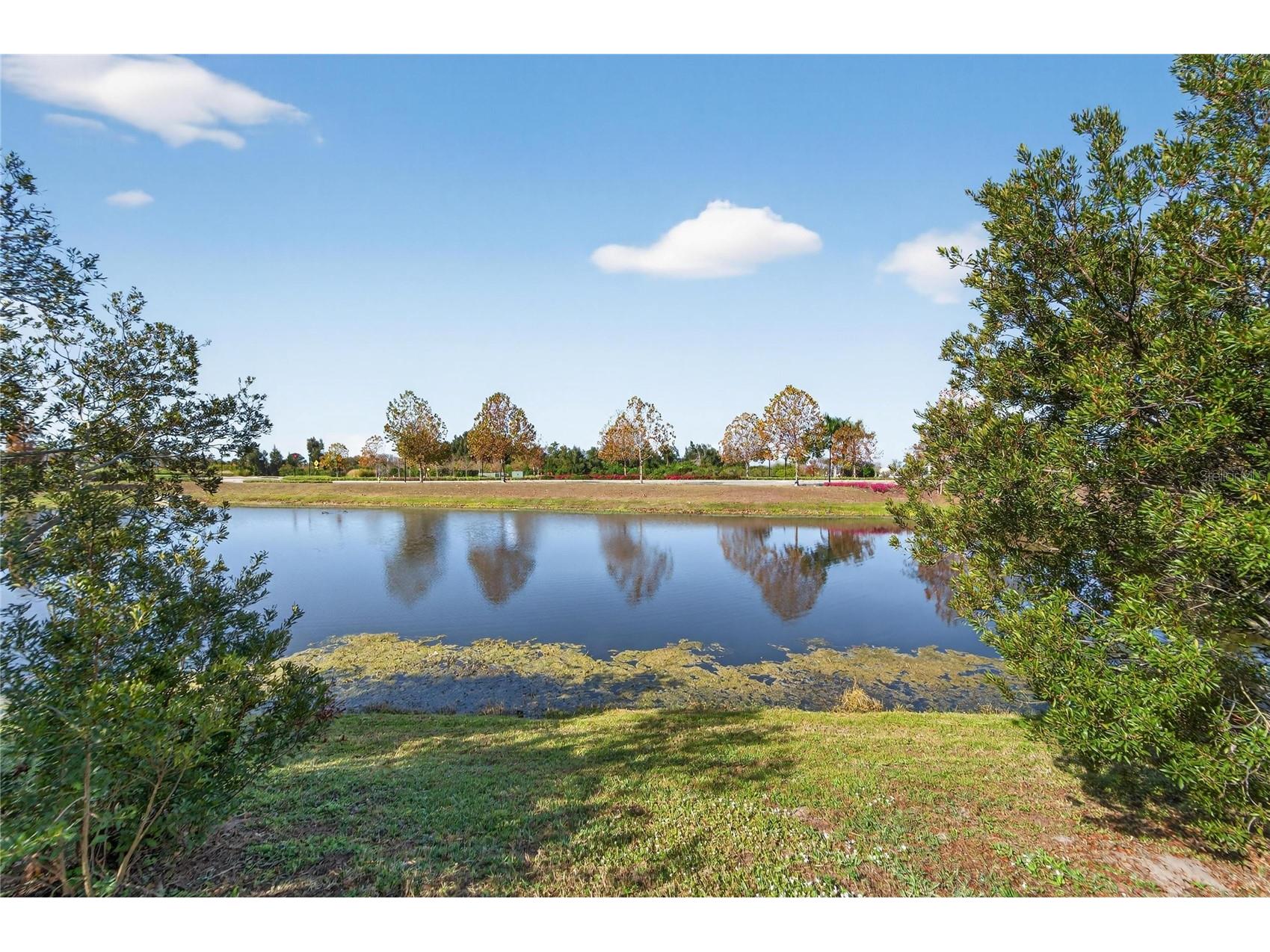 6230 Camino Drive Apollo Beach FL 33572 TB8462658 image3