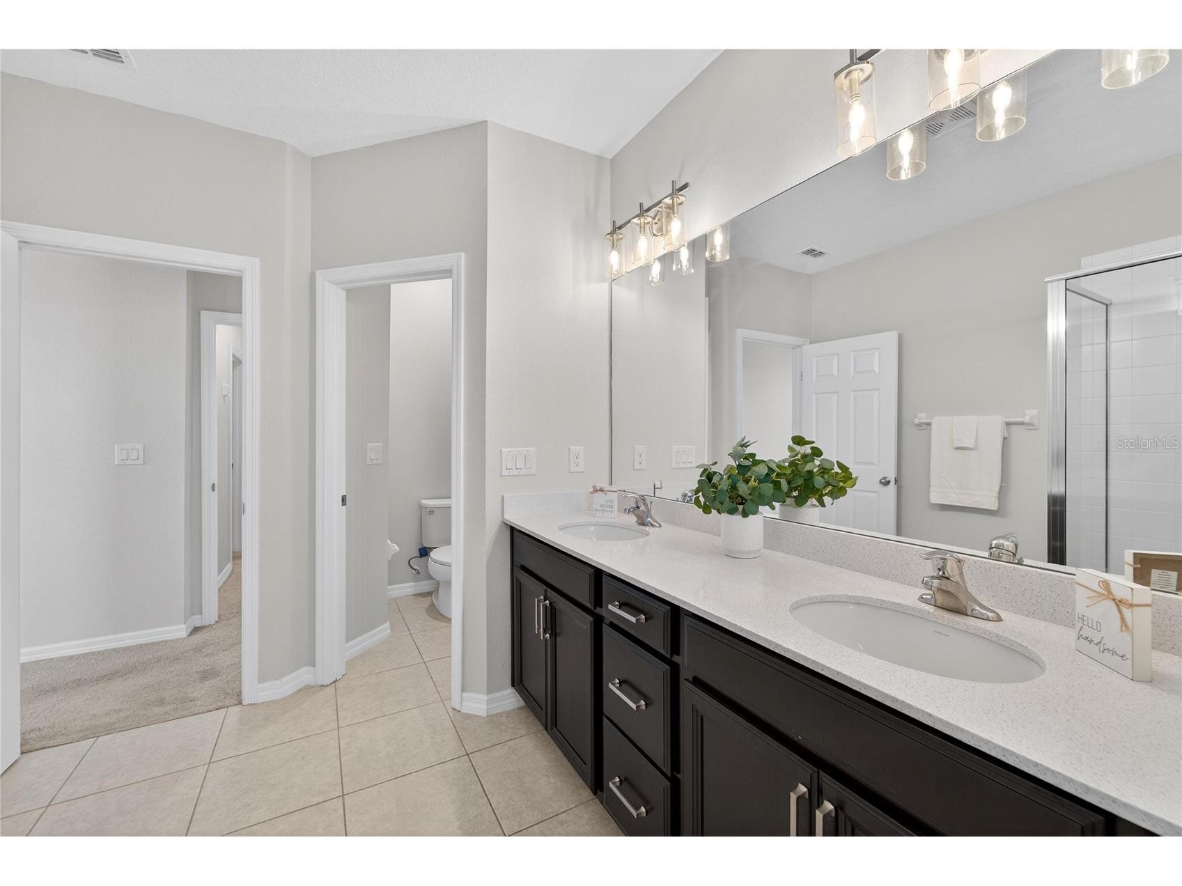 6230 Camino Drive Apollo Beach FL 33572 TB8462658 image39