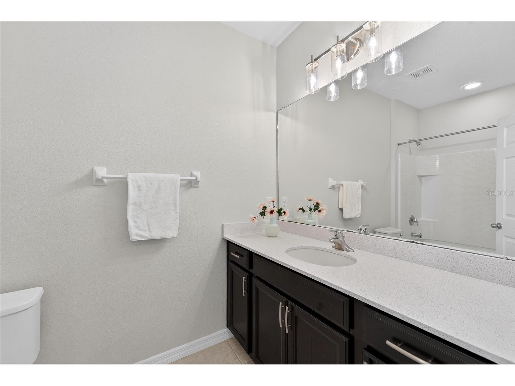 6230 Camino Drive Apollo Beach FL 33572 TB8462658 image44