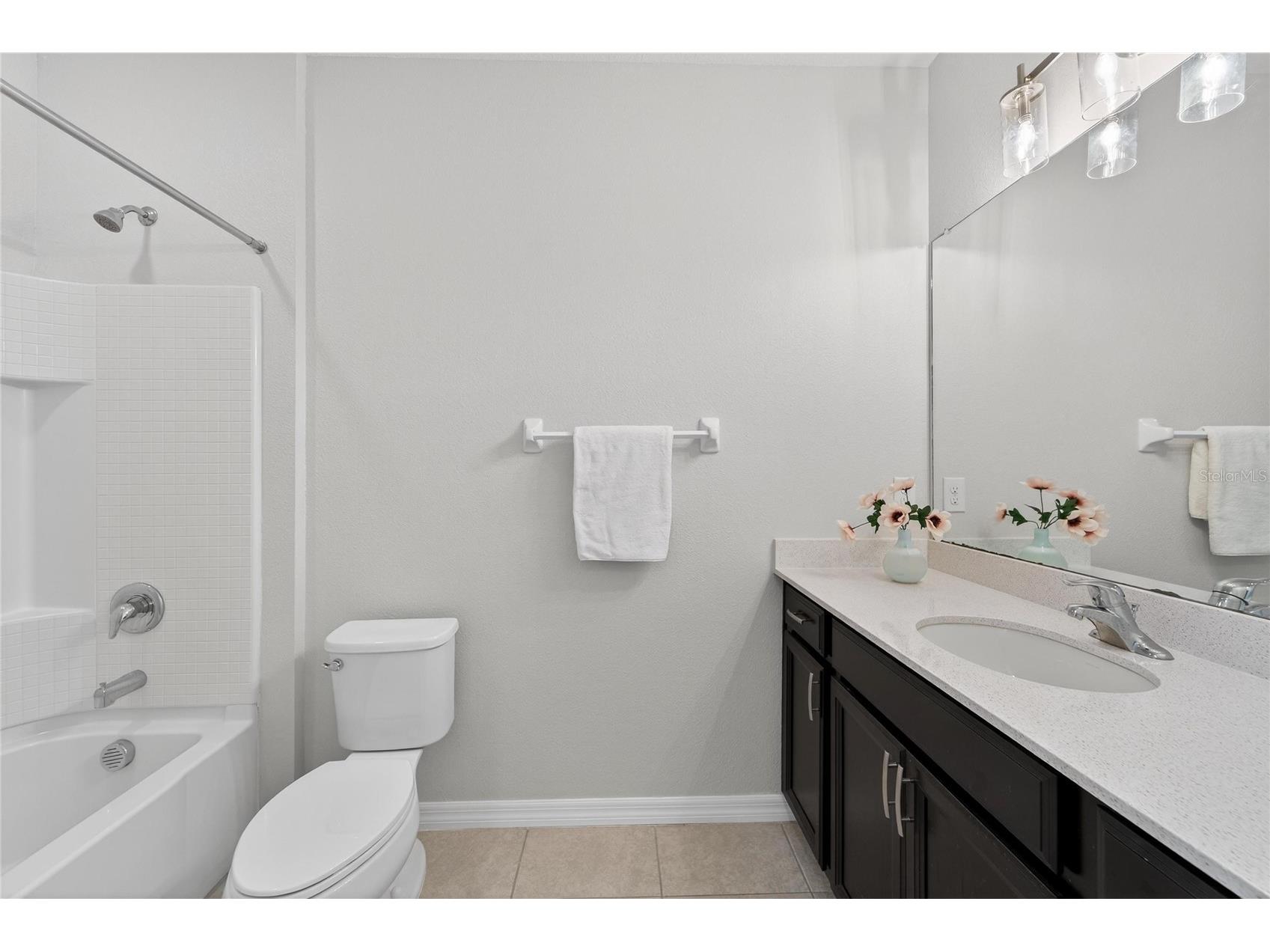 6230 Camino Drive Apollo Beach FL 33572 TB8462658 image45