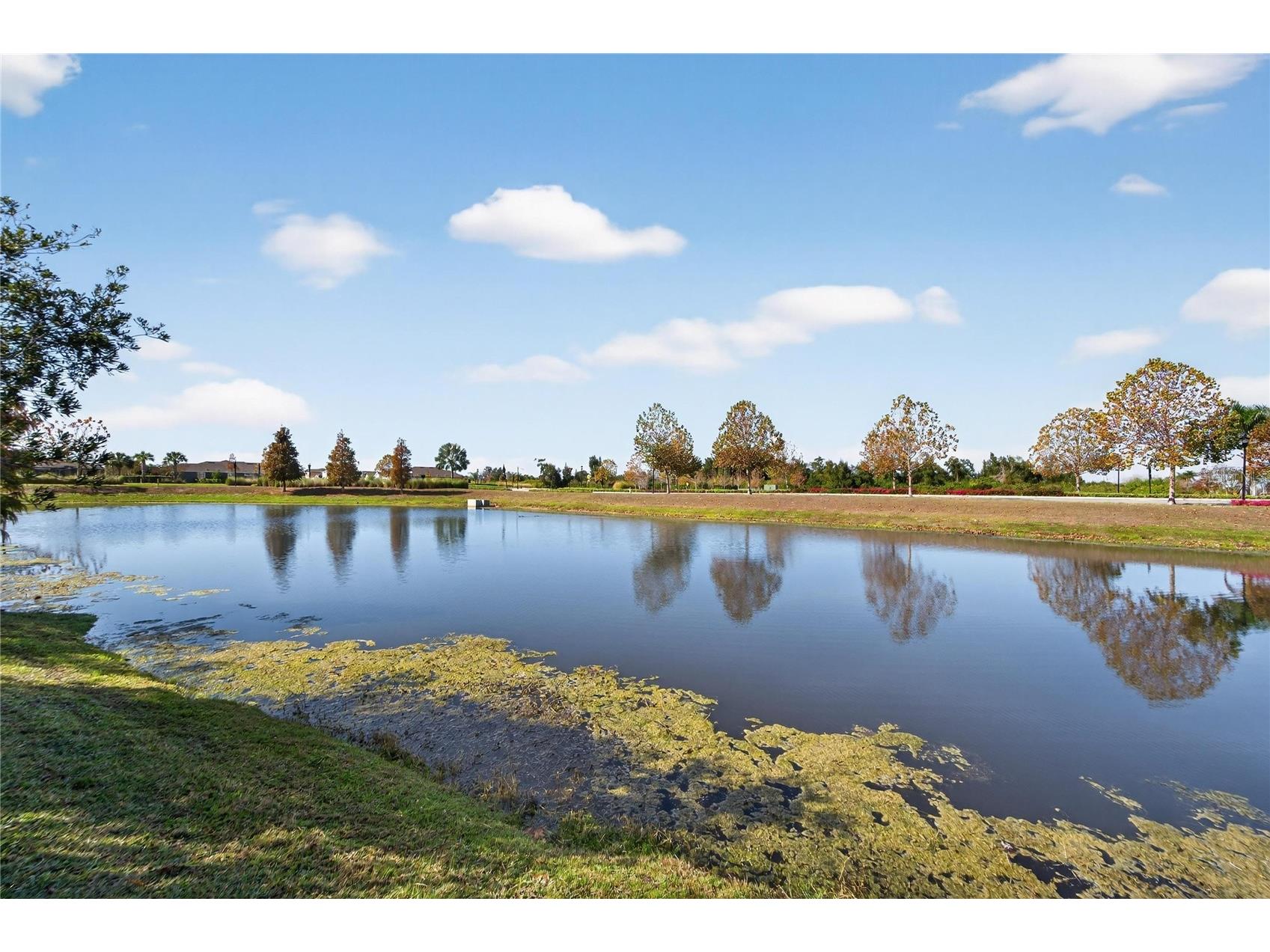 6230 Camino Drive Apollo Beach FL 33572 TB8462658 image52