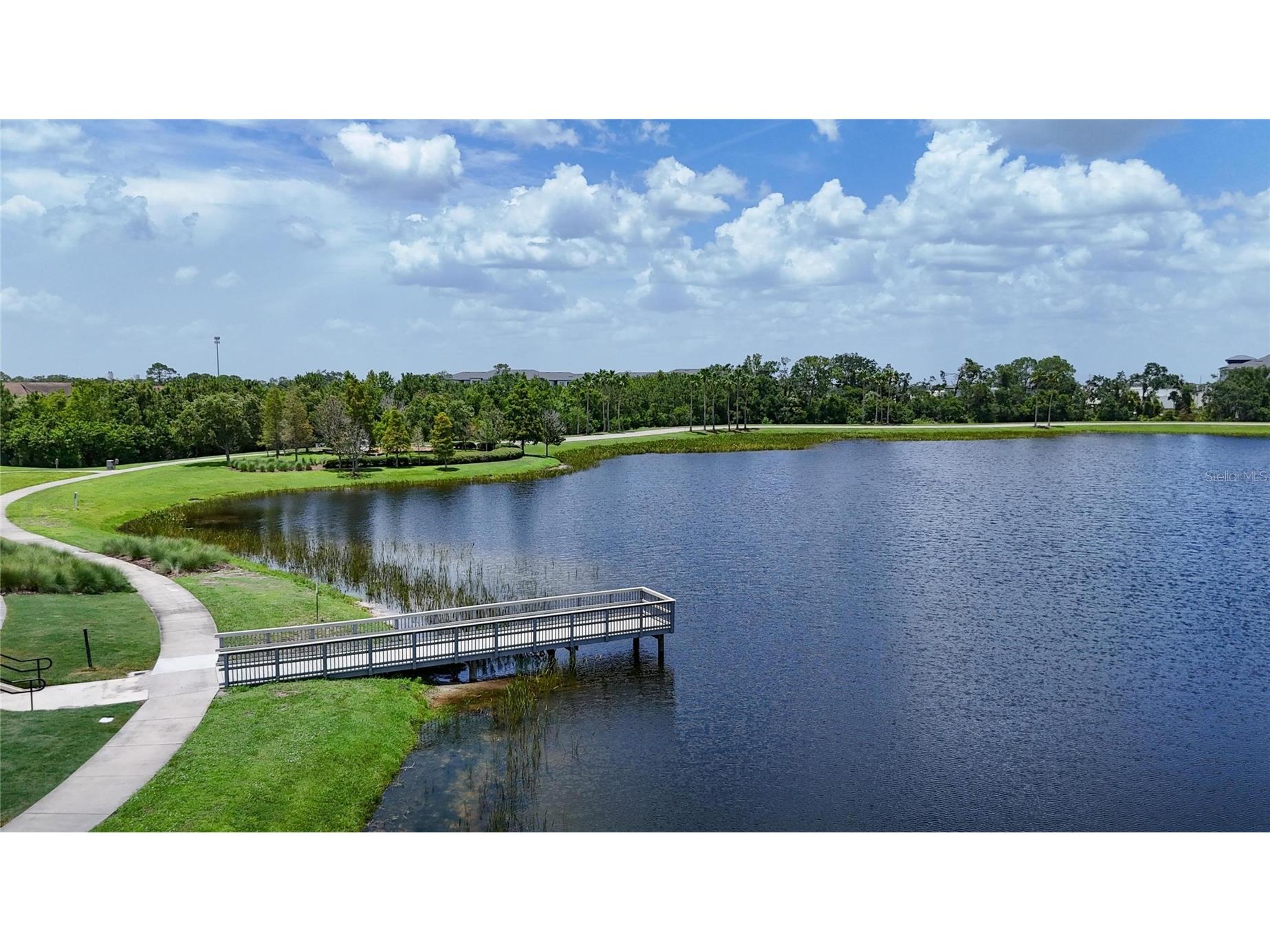 6230 Camino Drive Apollo Beach FL 33572 TB8462658 image86