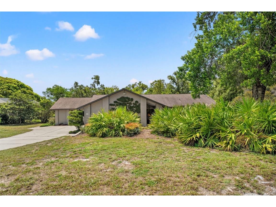 6230 Dorset Road Spring Hill FL 34608 TB8412799 image10