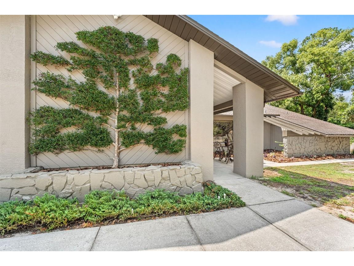 6230 Dorset Road Spring Hill FL 34608 TB8412799 image6