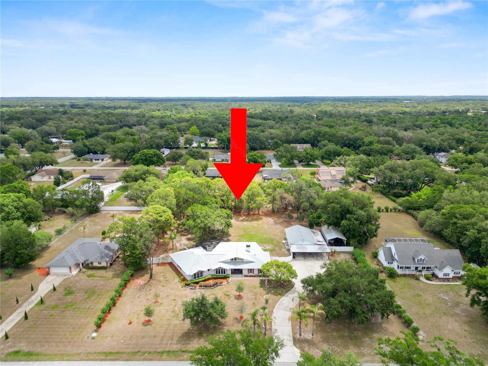 6230 Forestwood Drive W Lakeland FL 33811 L4961944 image10