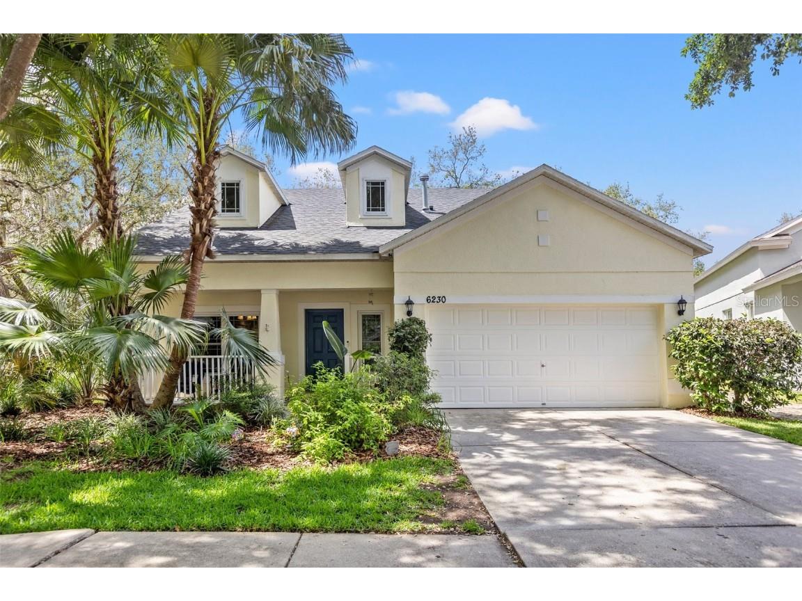 6230 Gannetdale Drive Lithia FL 33547 T3436085 image1