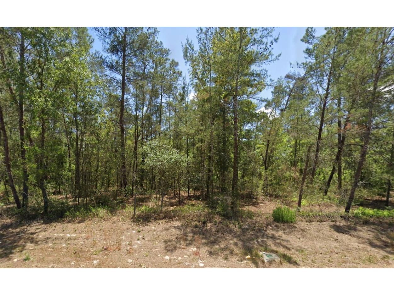 6230 W Oak Park Boulevard Homosassa FL 34446 W7878278 image1