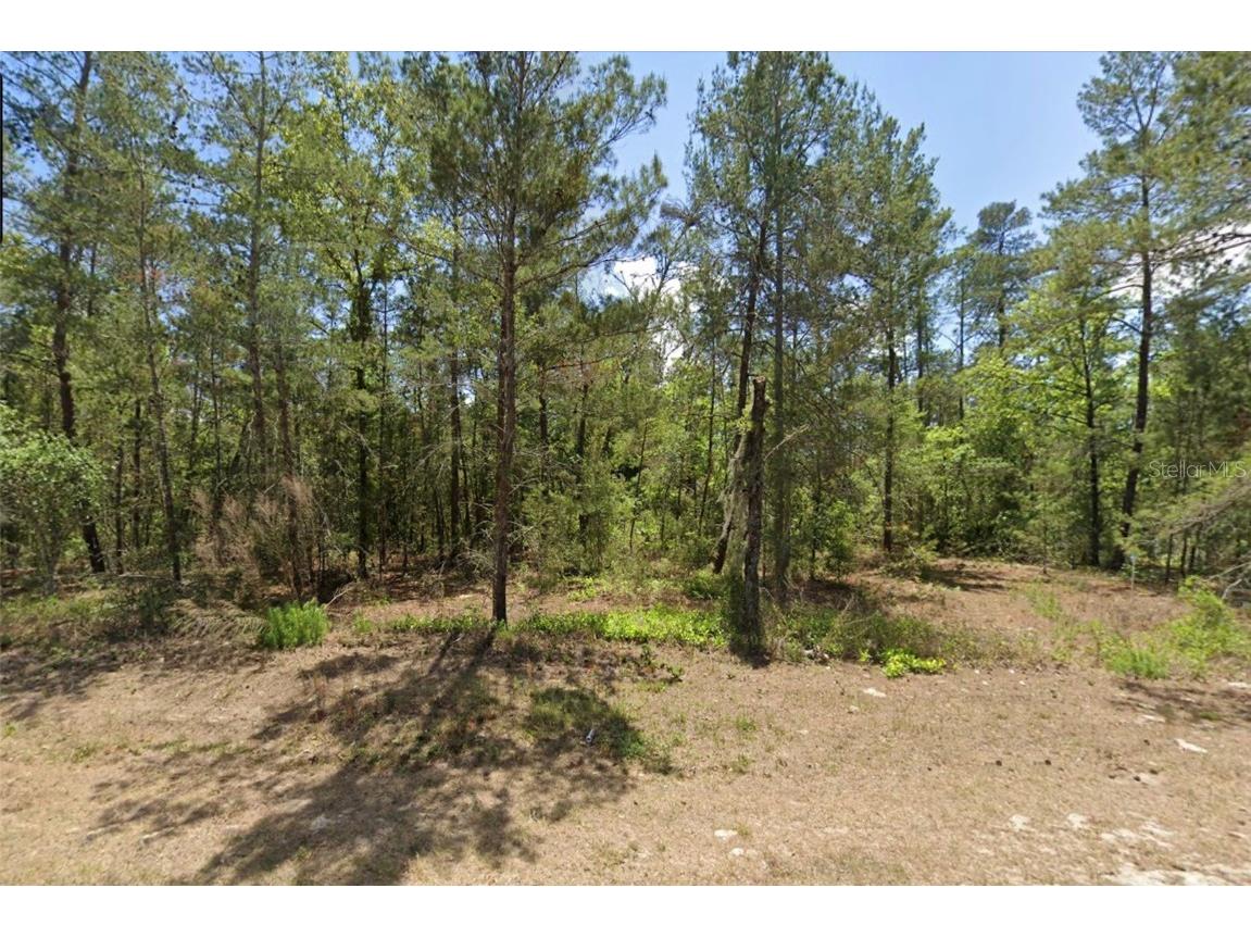 6230 W Oak Park Boulevard Homosassa FL 34446 W7878278 image2