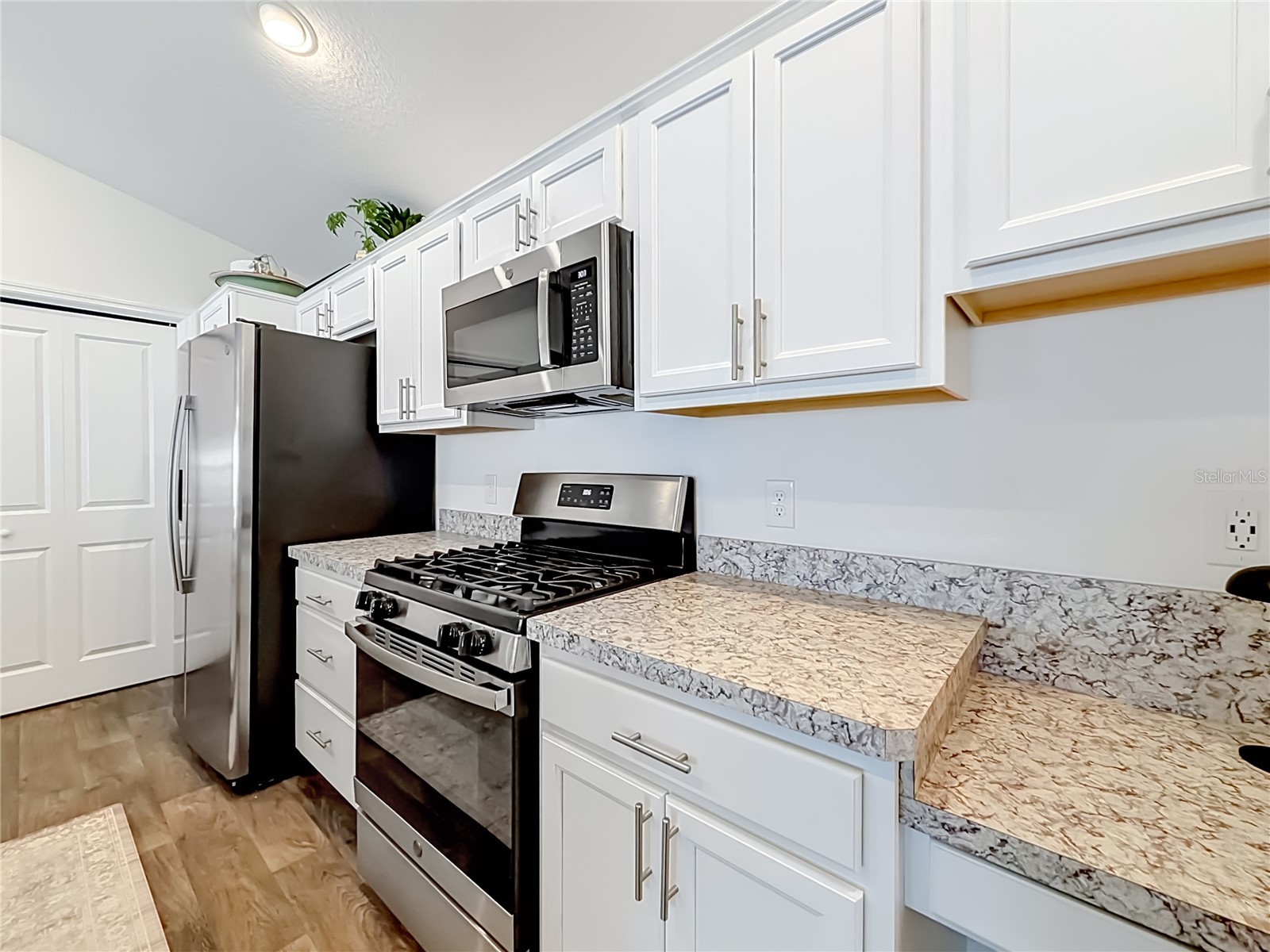 6231 Atkinson Lane The Villages FL 32163 G5111501 image24