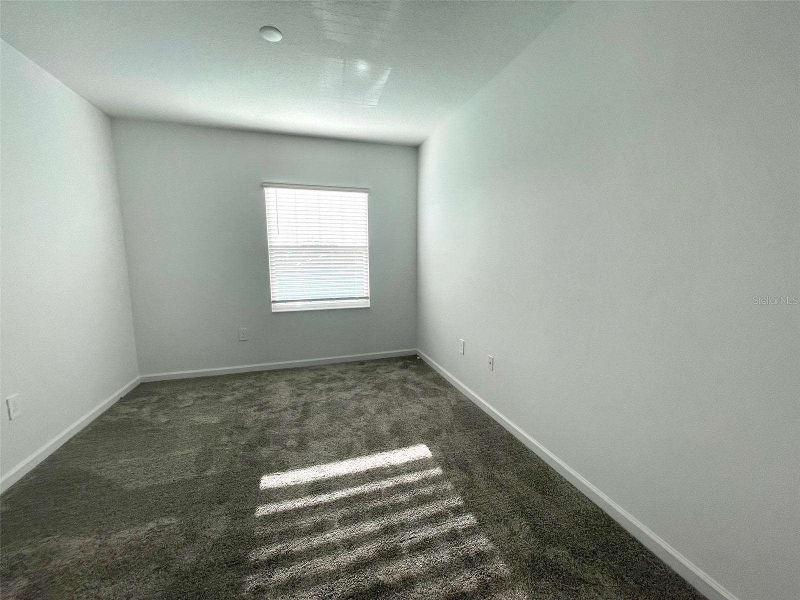 6231 Lakepine Street Saint Cloud FL 34771 O6389236 image14