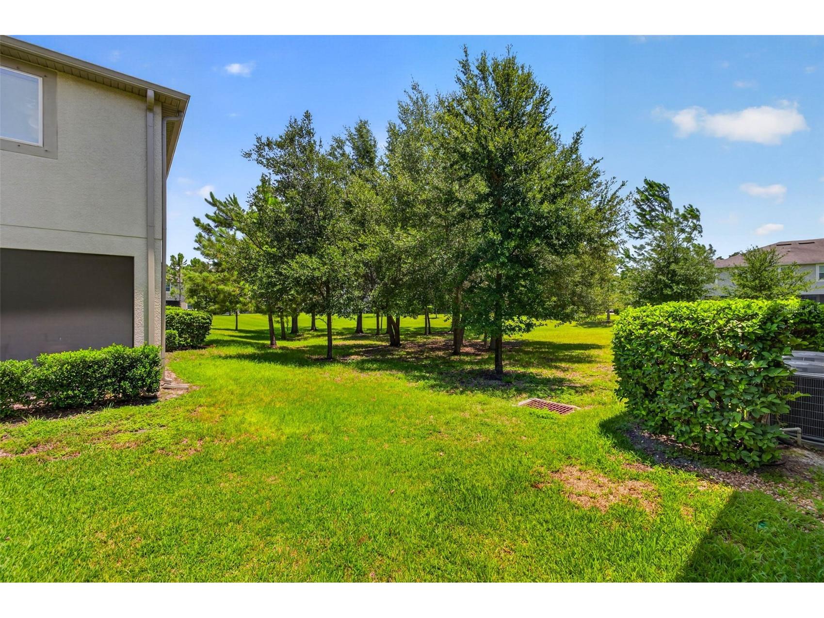 6231 Scarlet Darter Way Tampa FL 33625 TB8532009 image25