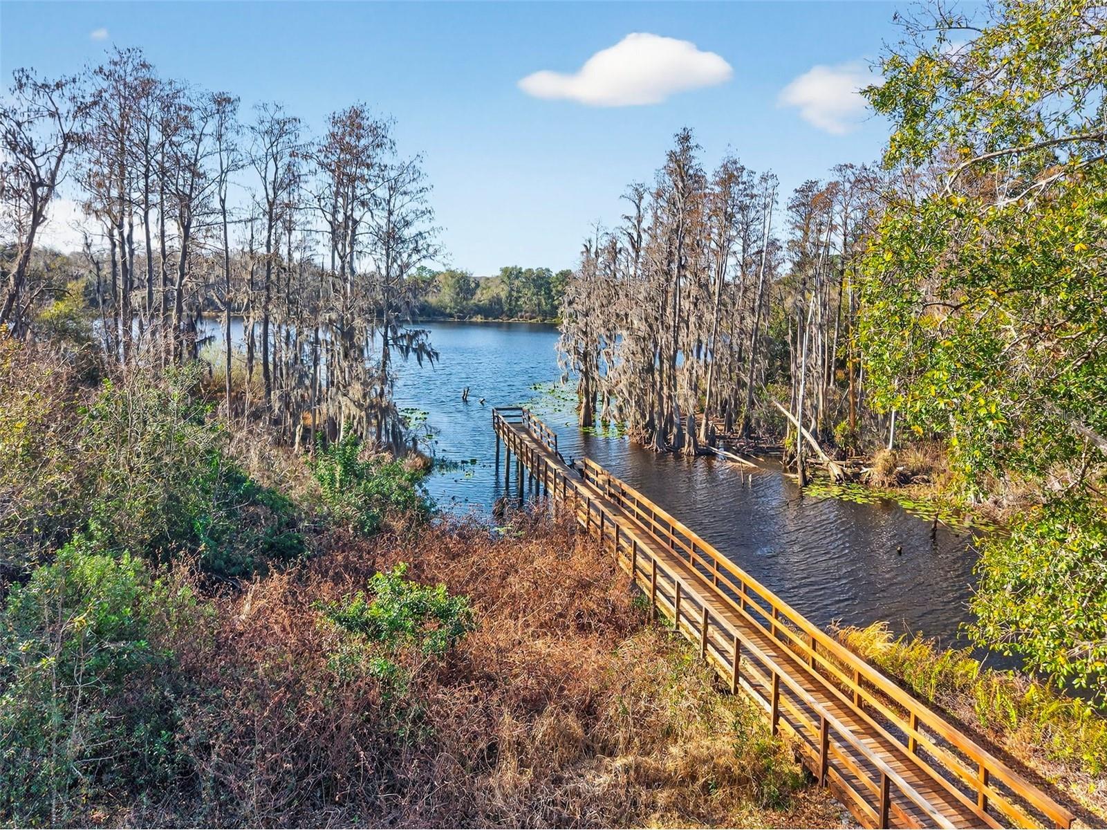 6231 Scarlet Darter Way Tampa FL 33625 TB8532009 image27