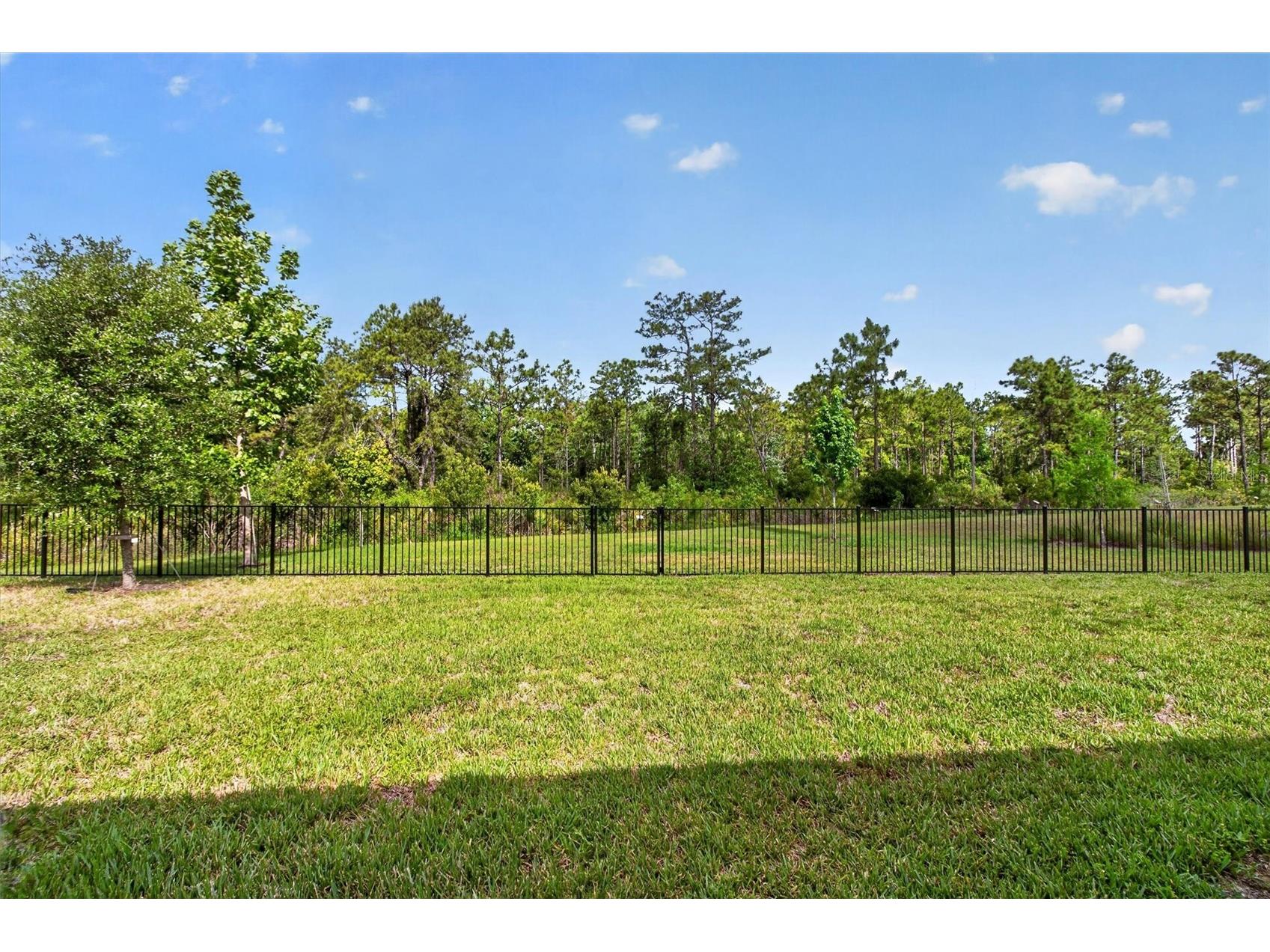6232 Blue Sage Loop Orlando FL 32829 S5149682 image34