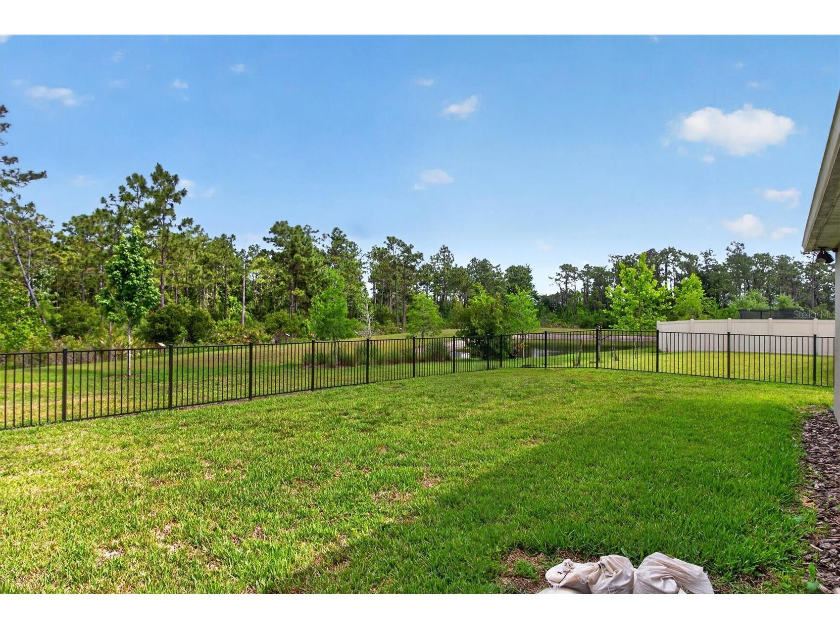 6232 Blue Sage Loop Orlando FL 32829 S5149682 image35
