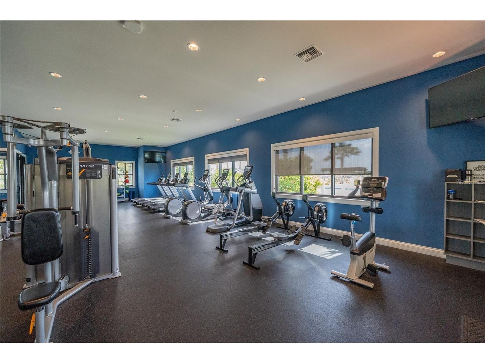 6232 Sea Air Drive Apollo Beach FL 33572 TB8439211 image66