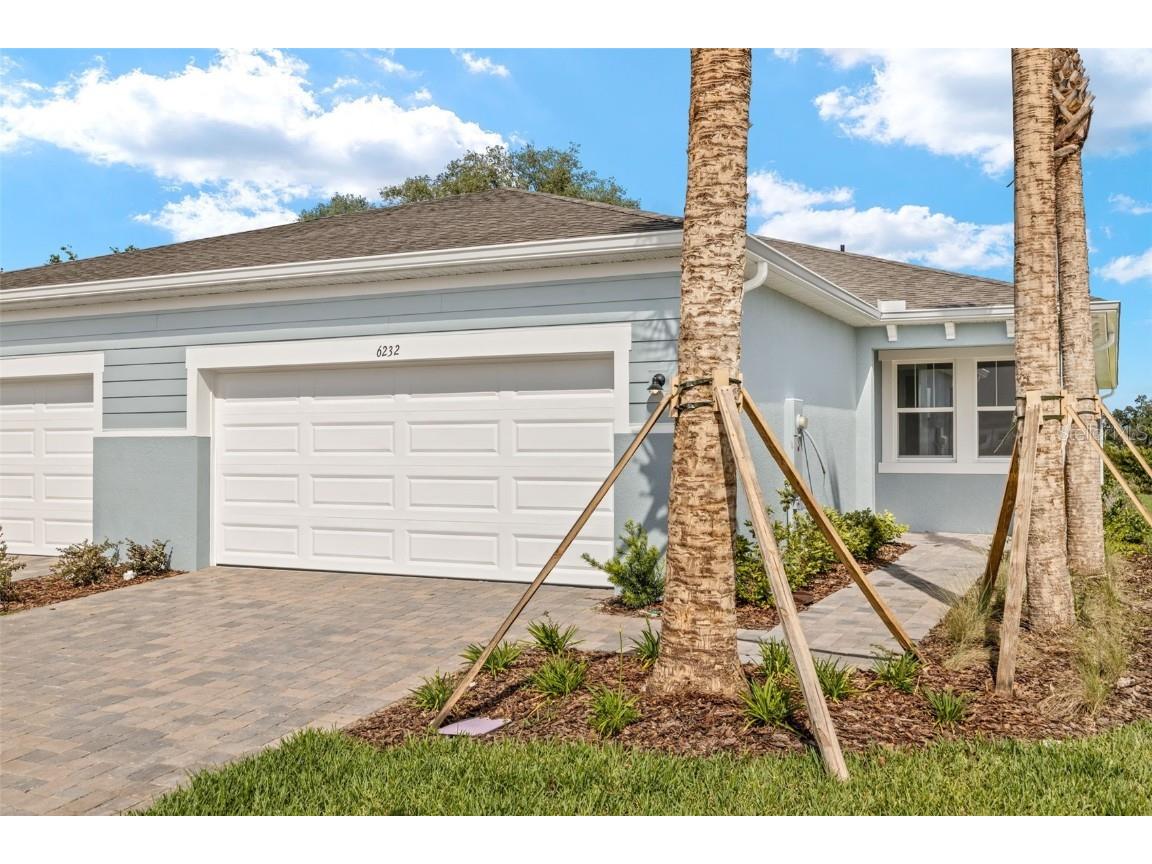 6232 Timberdale Avenue Wesley Chapel FL 33545 TB8314035 image1