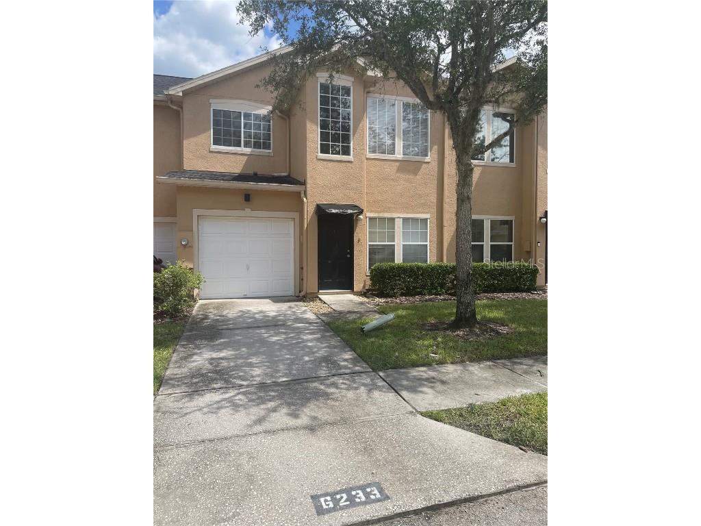 6233 Ashbury Palms Drive Tampa FL 33647 T3542705 image1