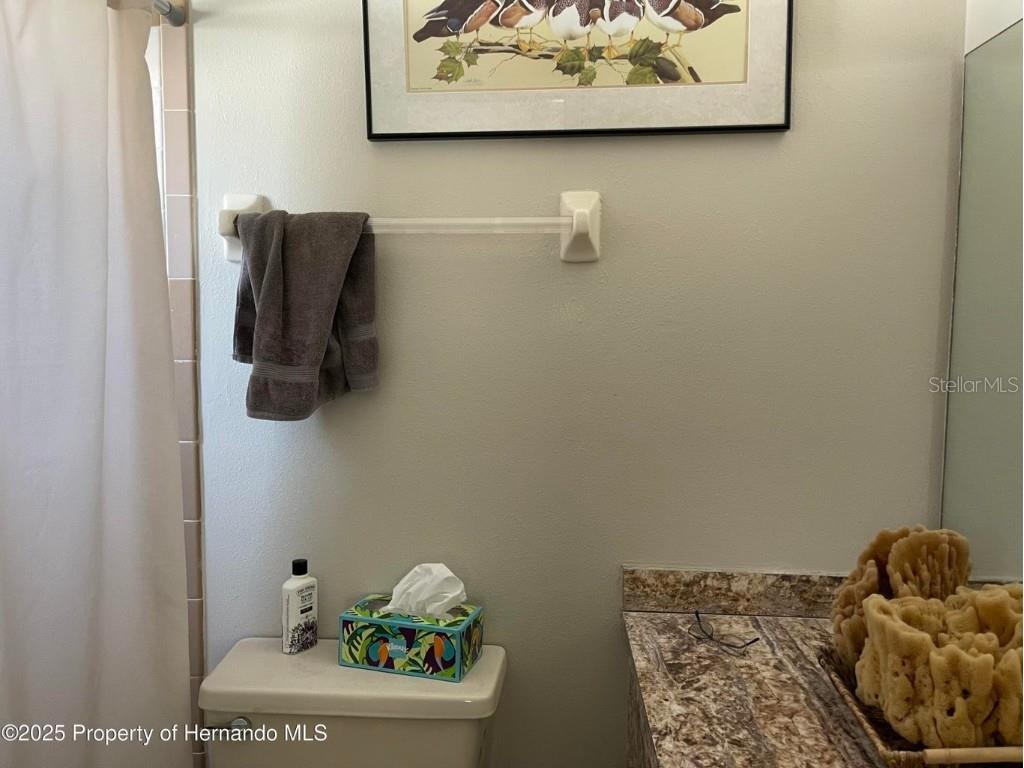 6233 Hancock Avenue Spring Hill FL 34608 W7880459 image11