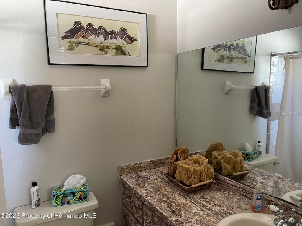 6233 Hancock Avenue Spring Hill FL 34608 W7880459 image12