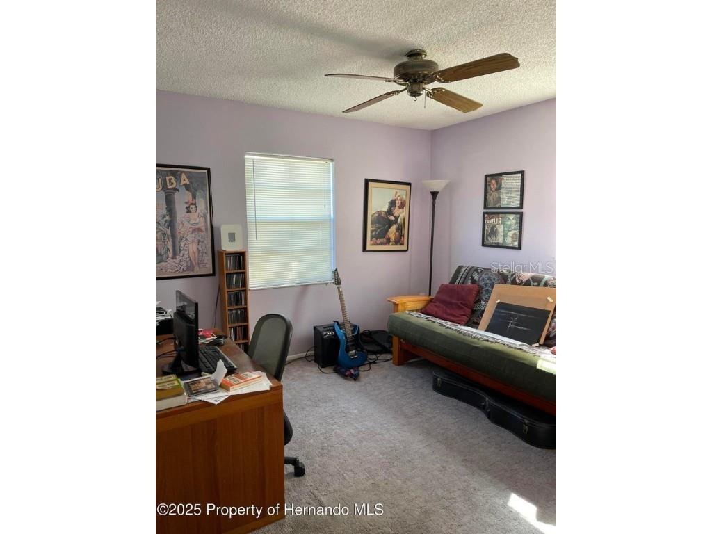 6233 Hancock Avenue Spring Hill FL 34608 W7880459 image8