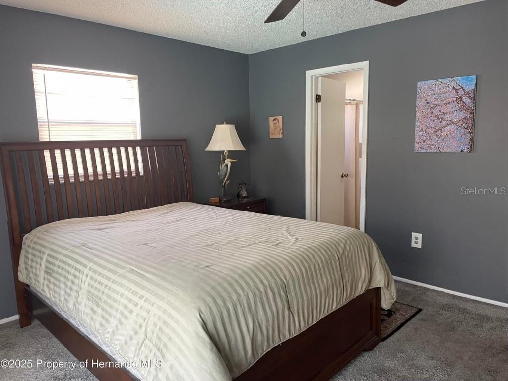 6233 Hancock Avenue Spring Hill FL 34608 W7880459 image9