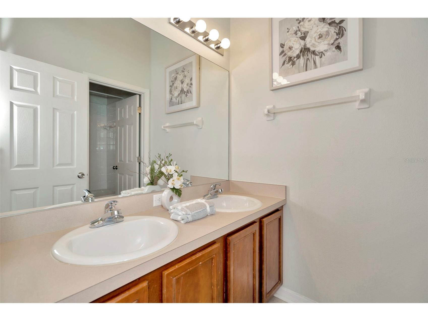 6233 Olivedale Drive Riverview FL 33578 TB8523106 image21