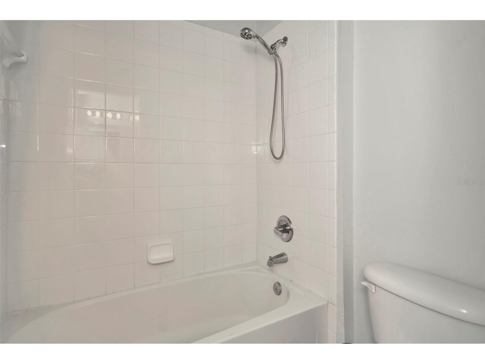 6233 Olivedale Drive Riverview FL 33578 TB8523106 image22