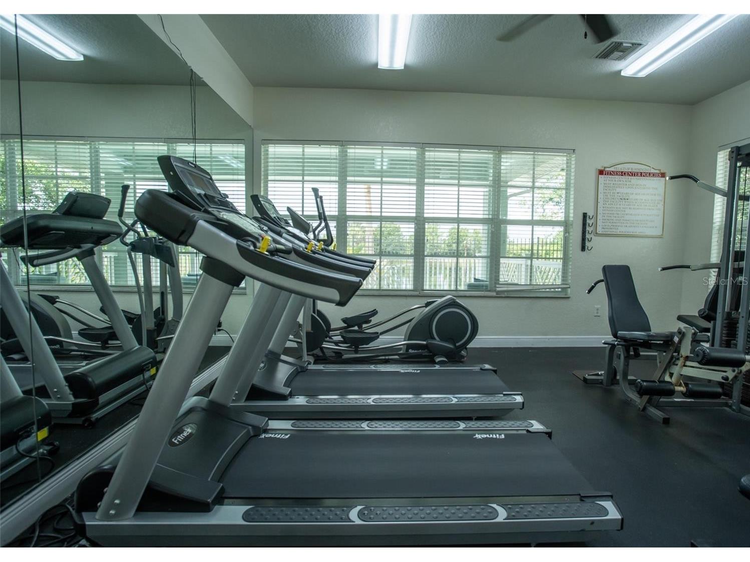 6233 Olivedale Drive Riverview FL 33578 TB8523106 image28