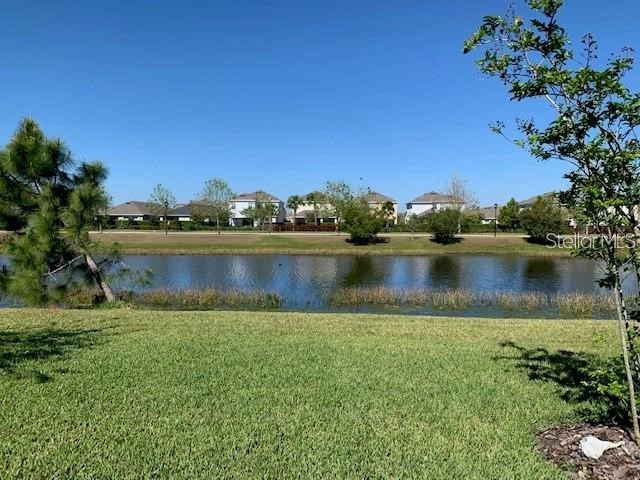 6234 Colmar Place Apollo Beach FL 33572 TB8511708 image21