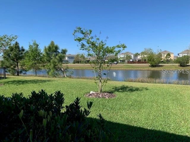6234 Colmar Place Apollo Beach FL 33572 TB8511708 image22