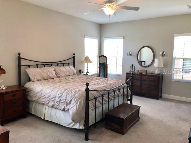6234 Colmar Place Apollo Beach FL 33572 TB8511708 image8