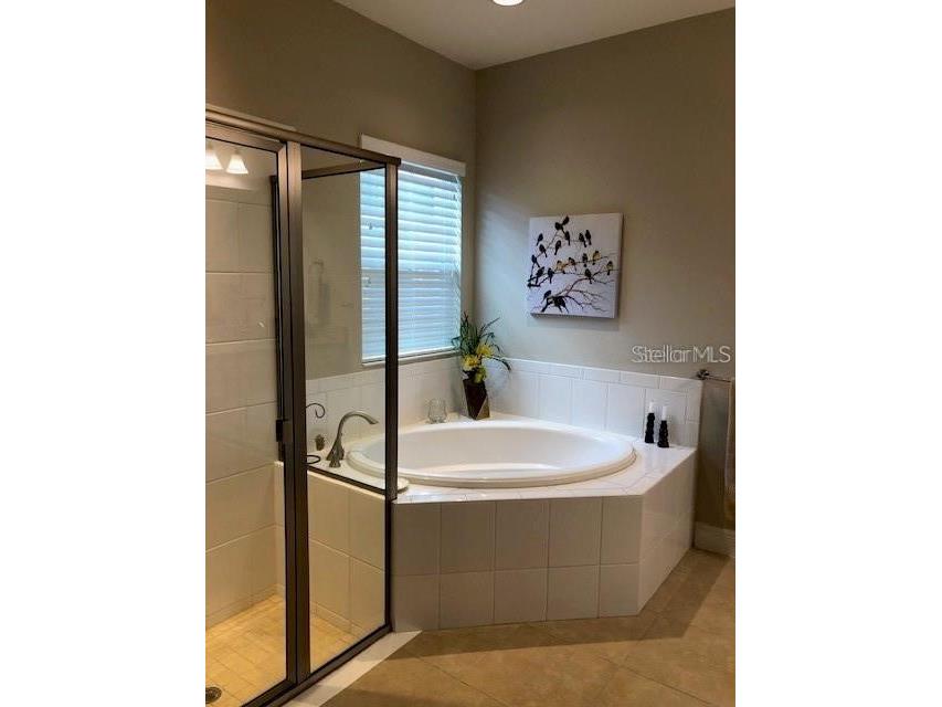 6234 Colmar Place Apollo Beach FL 33572 TB8511708 image9