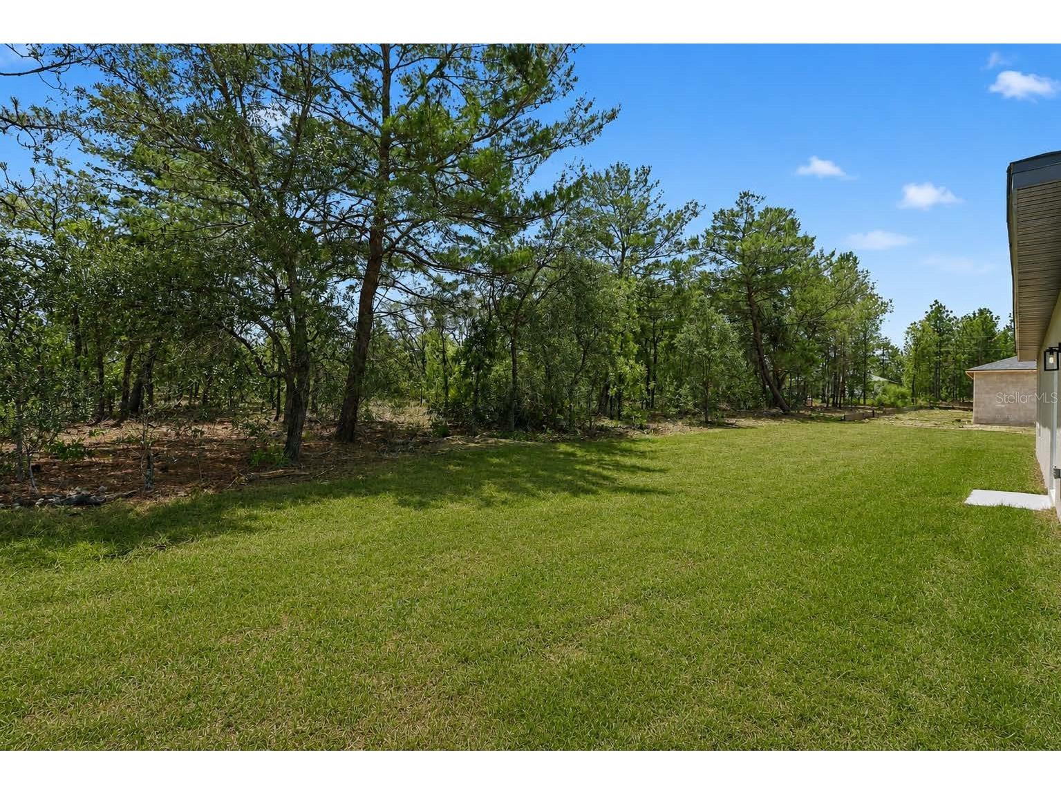 6234 N Mariner Terrace Citrus Springs FL 34433 TB8505581 image42