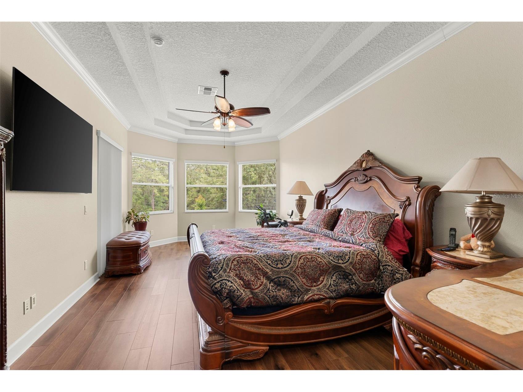 6234 Tremayne Drive Mount Dora FL 32757 O6379616 image15