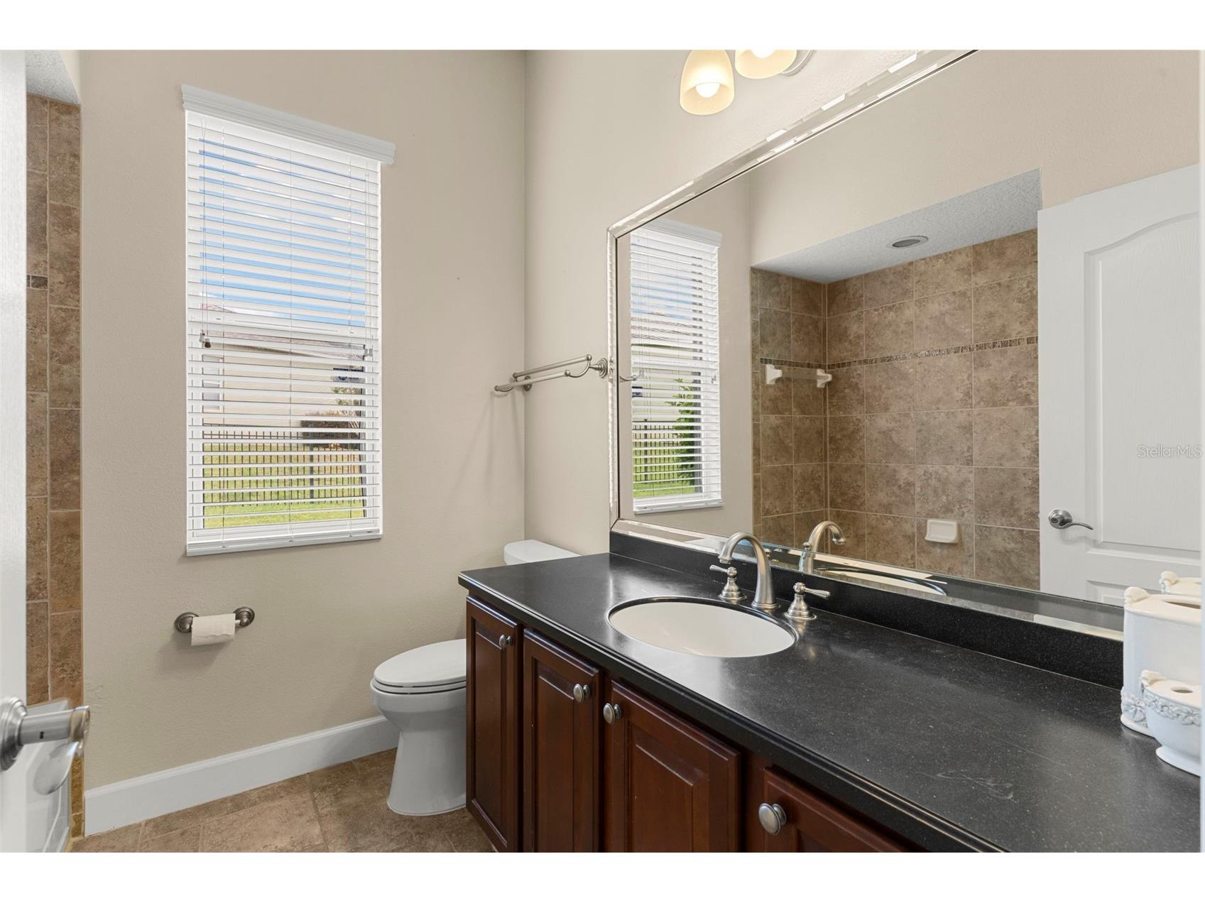 6234 Tremayne Drive Mount Dora FL 32757 O6379616 image18