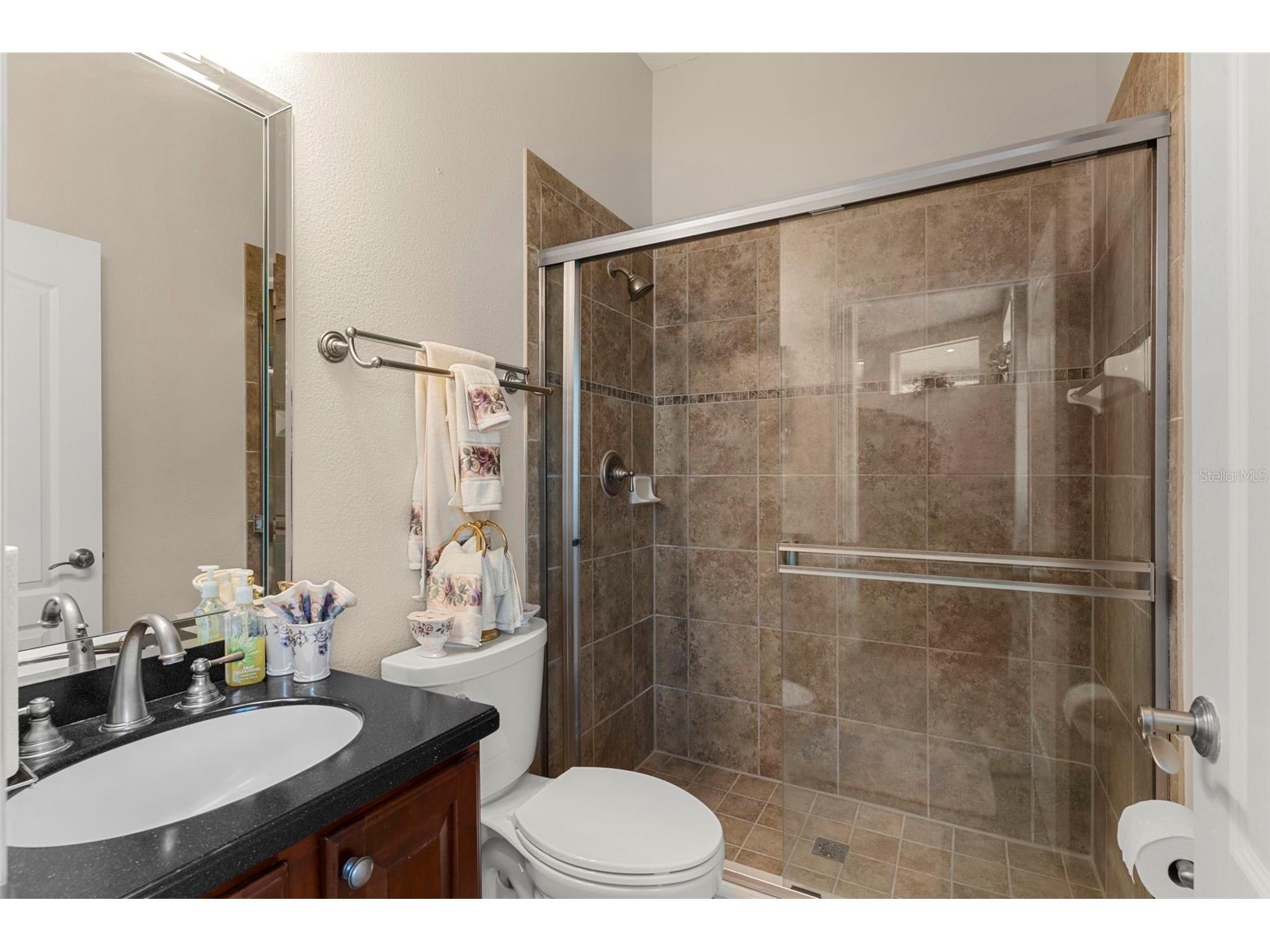 6234 Tremayne Drive Mount Dora FL 32757 O6379616 image23