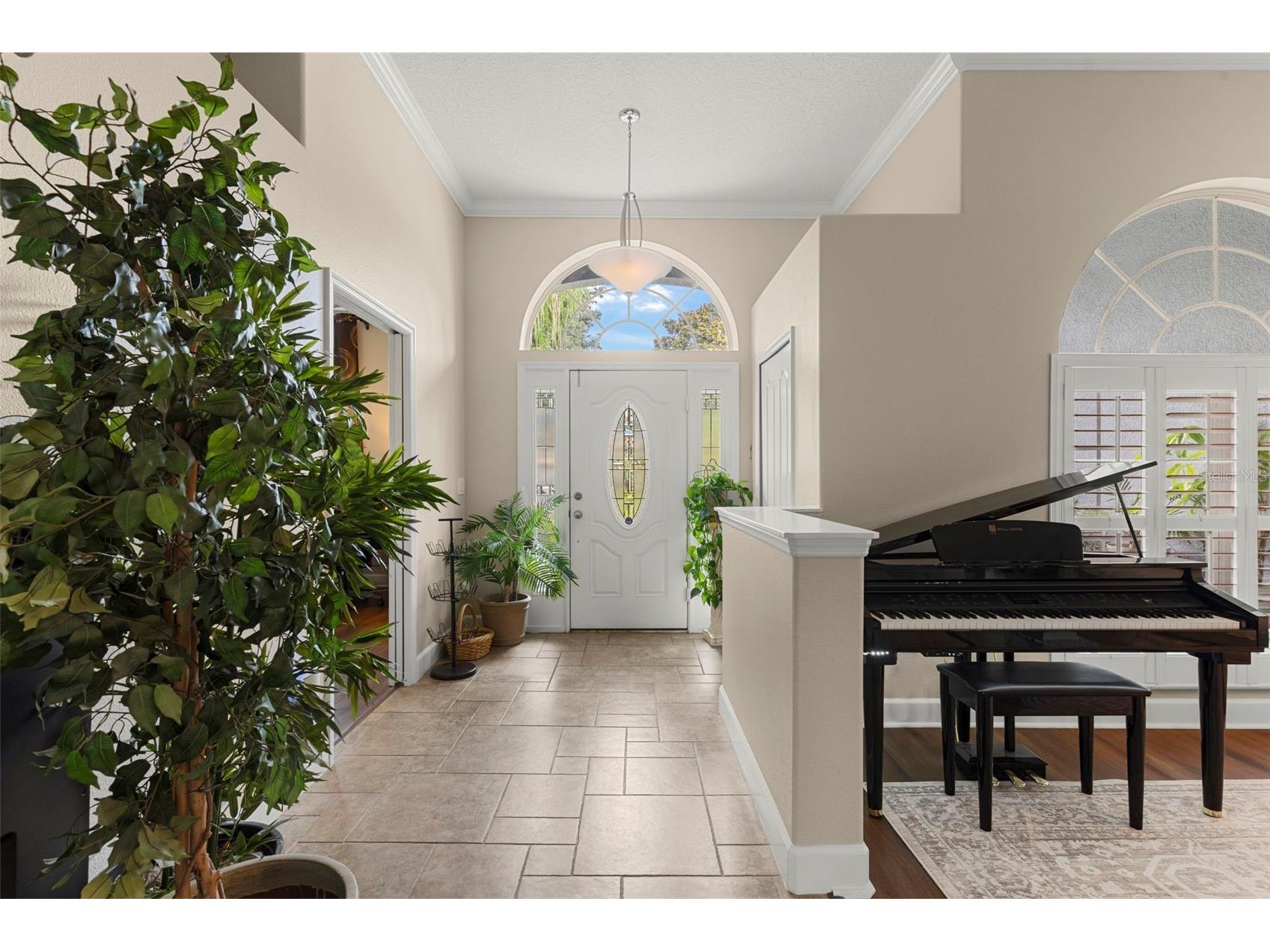 6234 Tremayne Drive Mount Dora FL 32757 O6379616 image3
