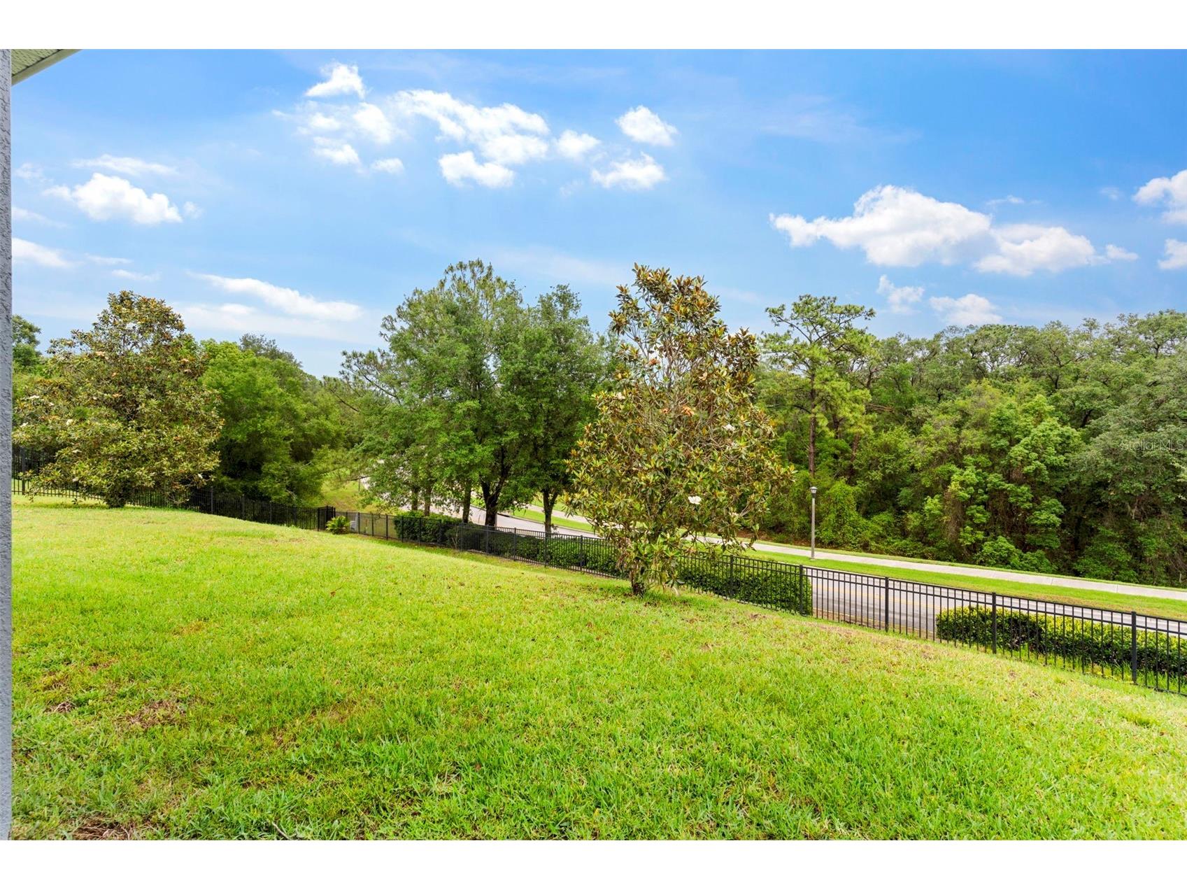 6234 Tremayne Drive Mount Dora FL 32757 O6379616 image30