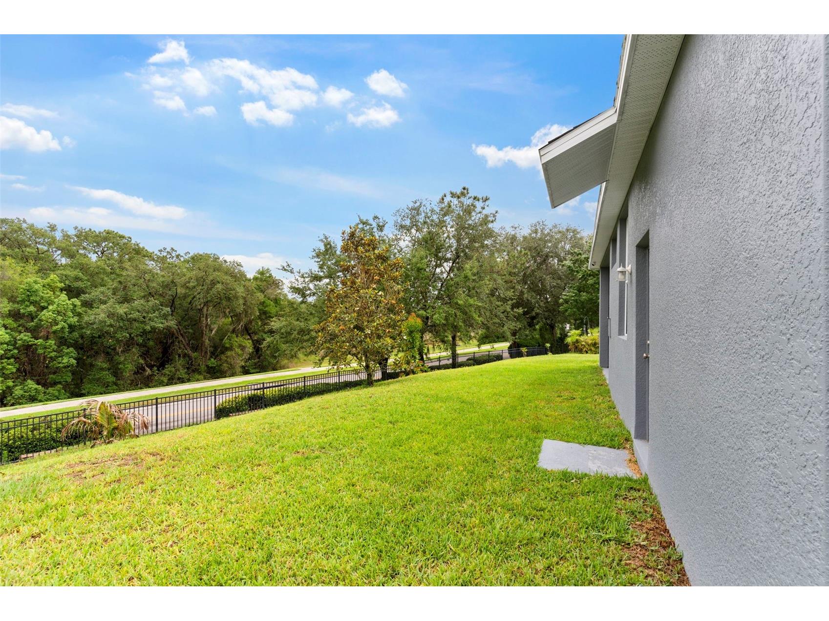 6234 Tremayne Drive Mount Dora FL 32757 O6379616 image31