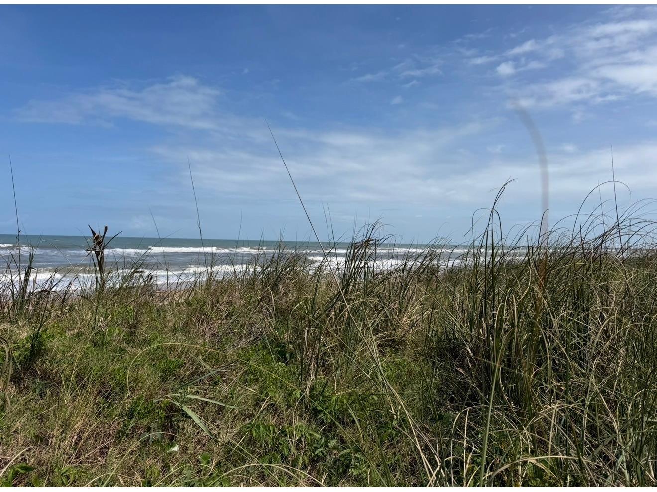 6235 N Ocean Shore Boulevard Palm Coast FL 32137 OM726448 image7