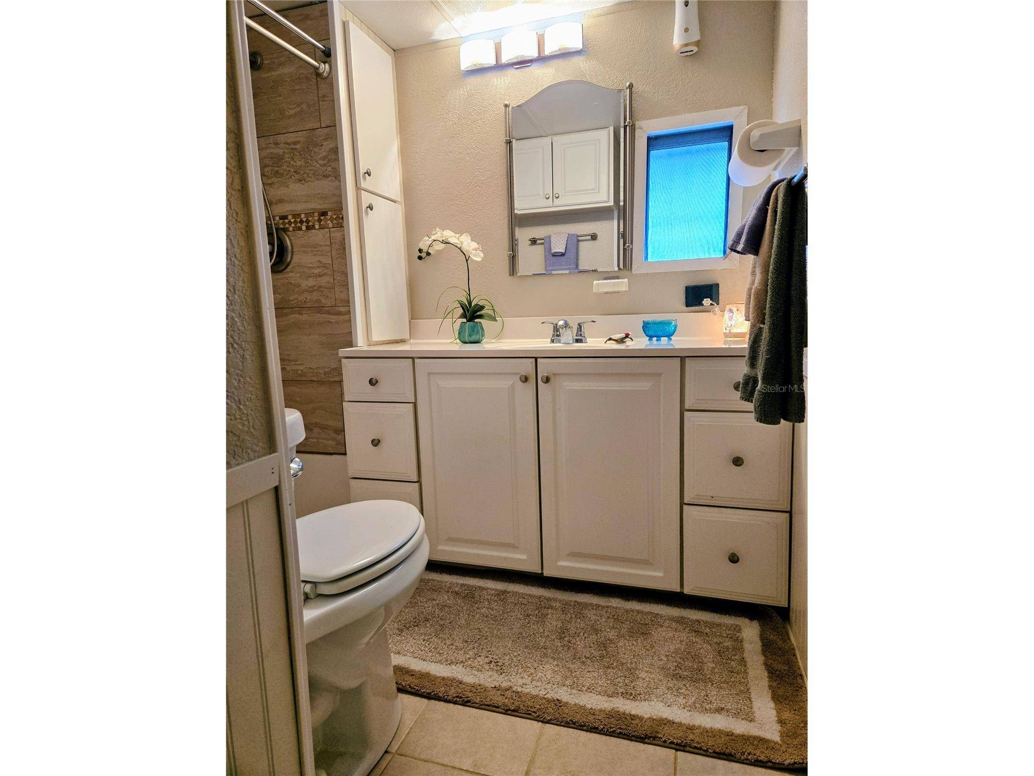 6235 Parksend Lane Zephyrhills FL 33542 TB8509253 image19