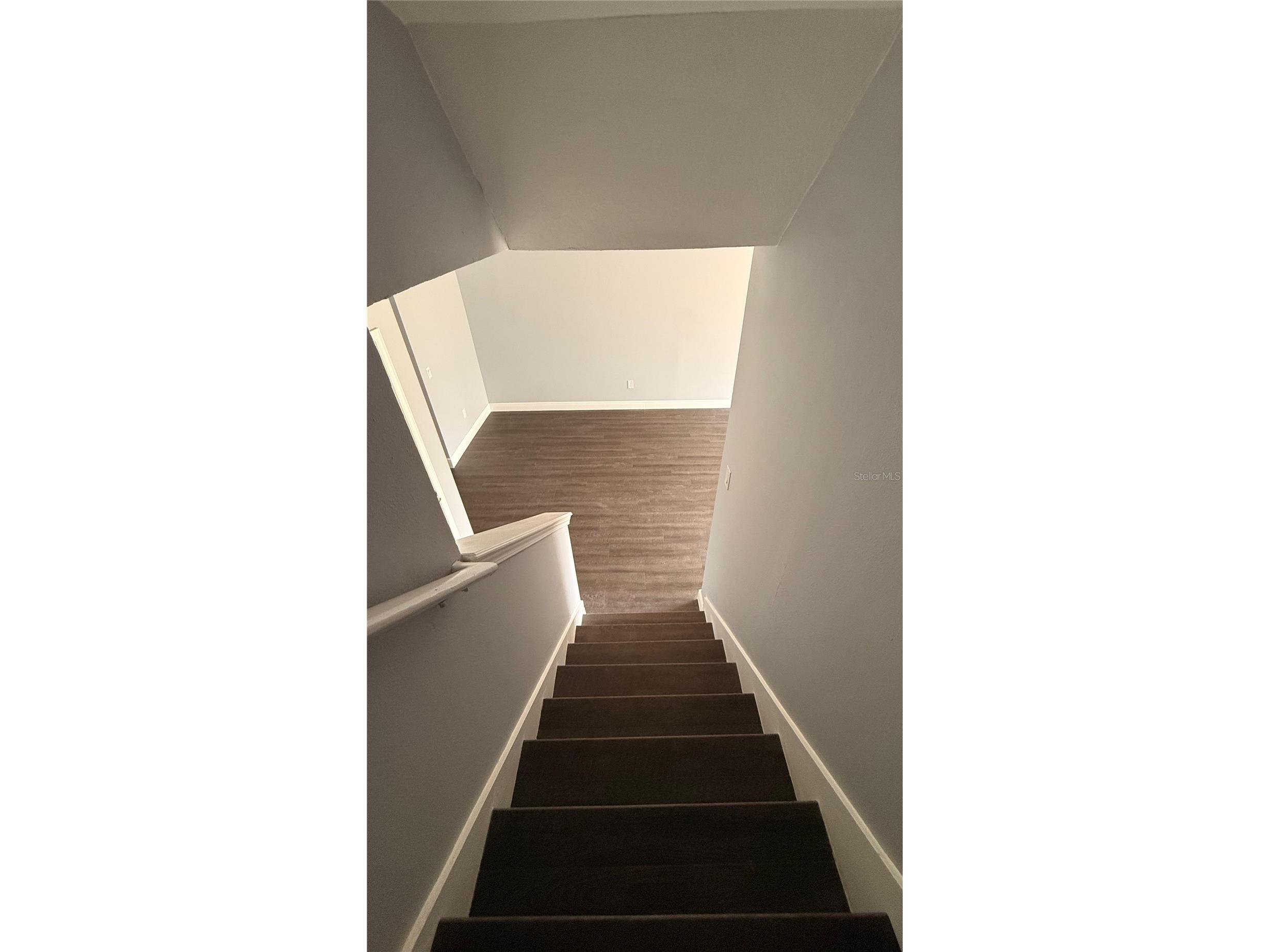 6236 Olivedale Drive Riverview FL 33578 TB8491721 image14