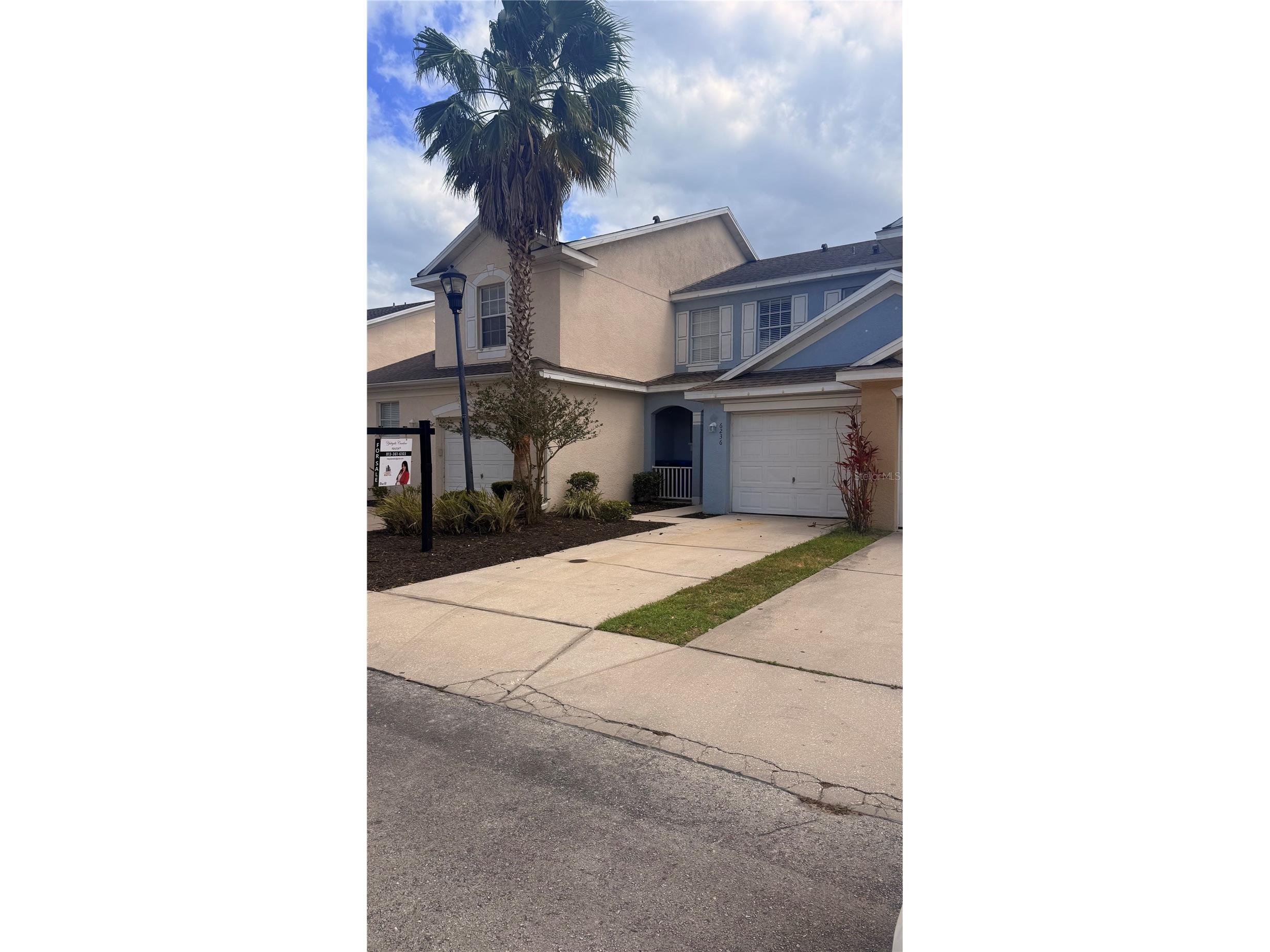 6236 Olivedale Drive Riverview FL 33578 TB8491721 image19